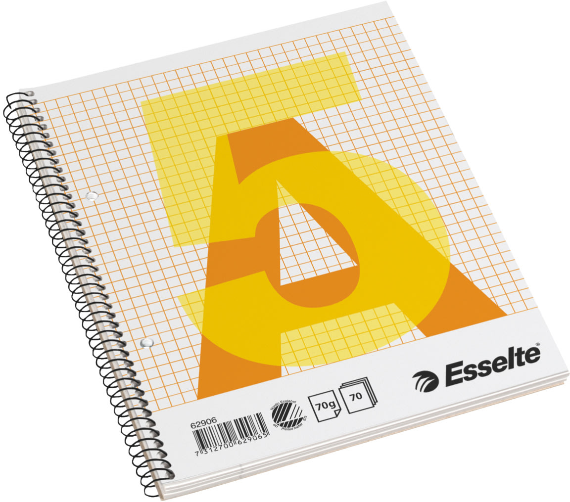 Esselte kollegieblock A5, rutat