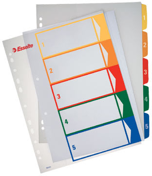 Register Esselte Maxi A4 1-10 För utskrifter