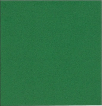 Papirserviet 24 x 24cm, 2-lag, 100stk, grøn