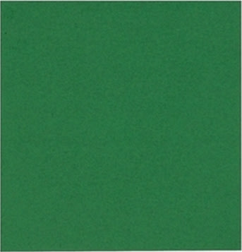 Pappersservett 2-lags 24x24 cm Grön 100 st