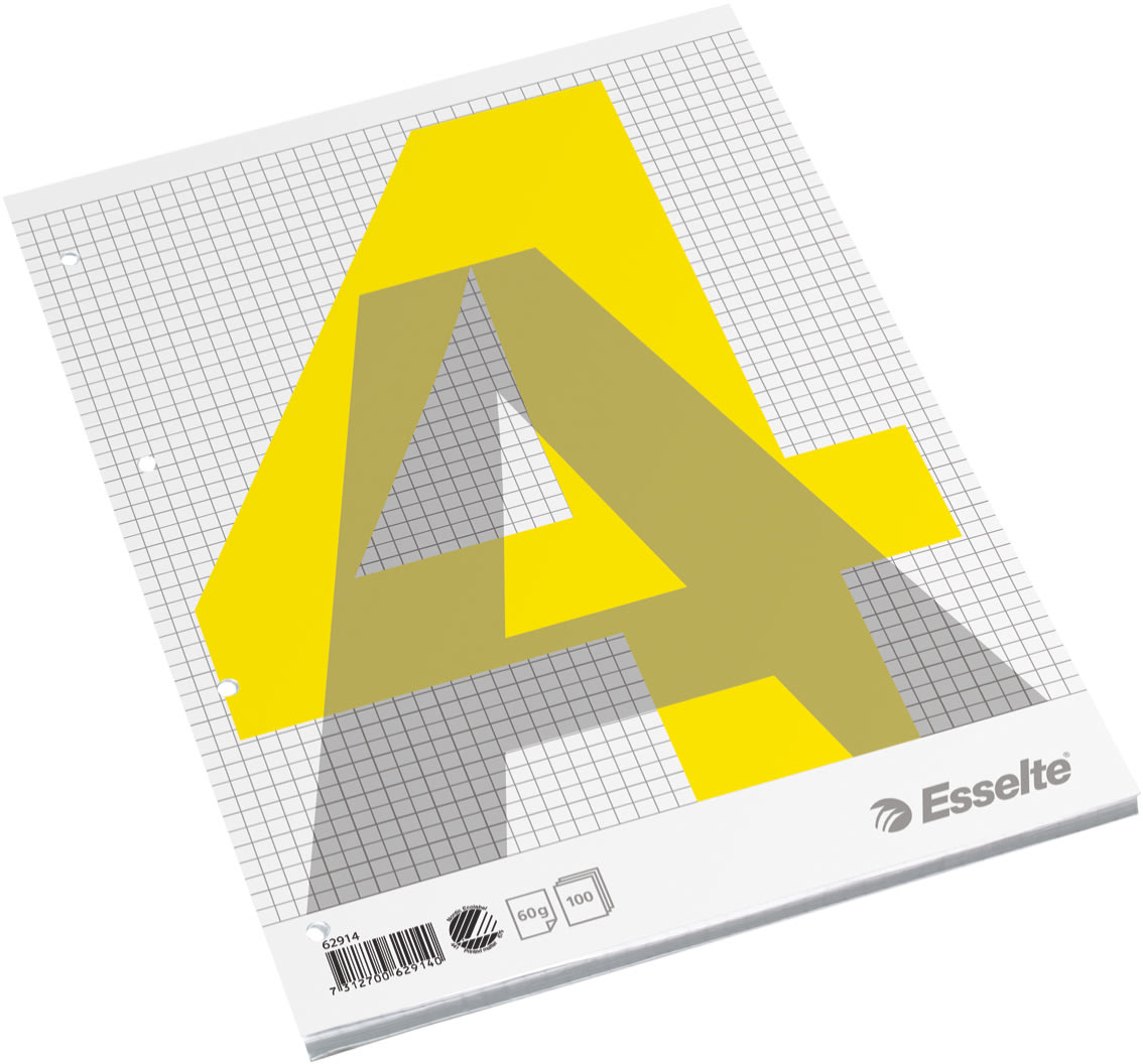 Esselte standardblock A4, rutat, topplimmat