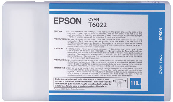 Epson C13T602200 bläckpatron, cyan, 110 ml