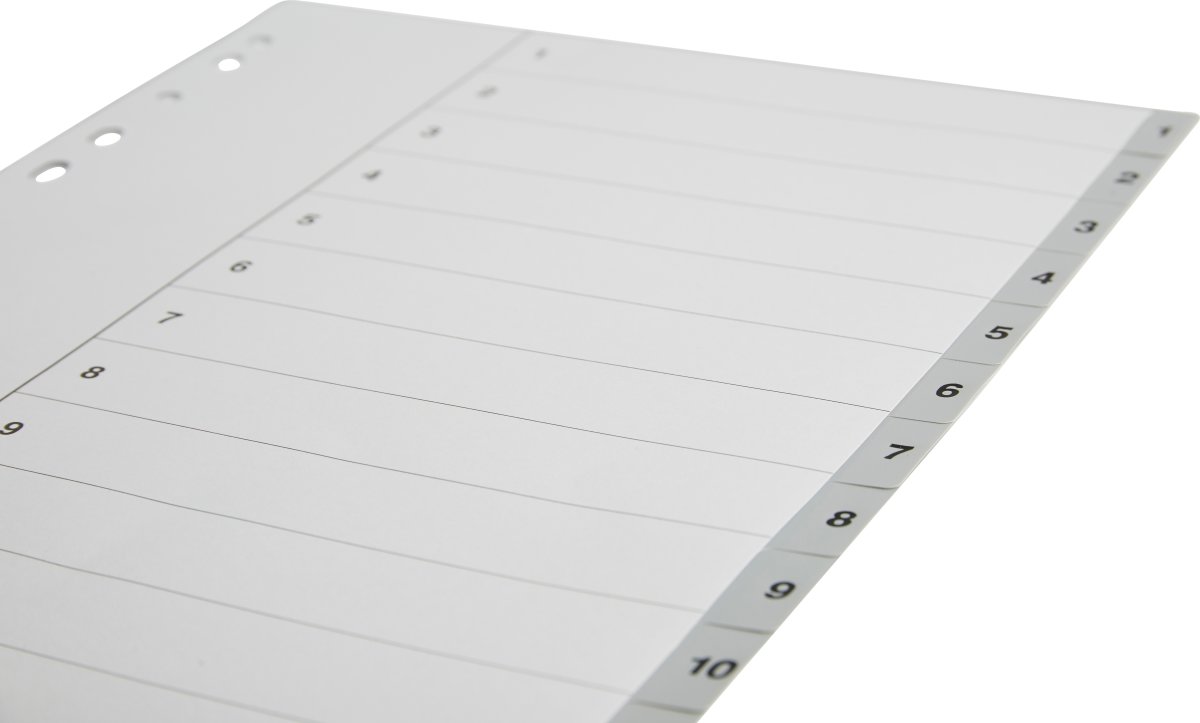 Register Budget A4 1-12 Plast