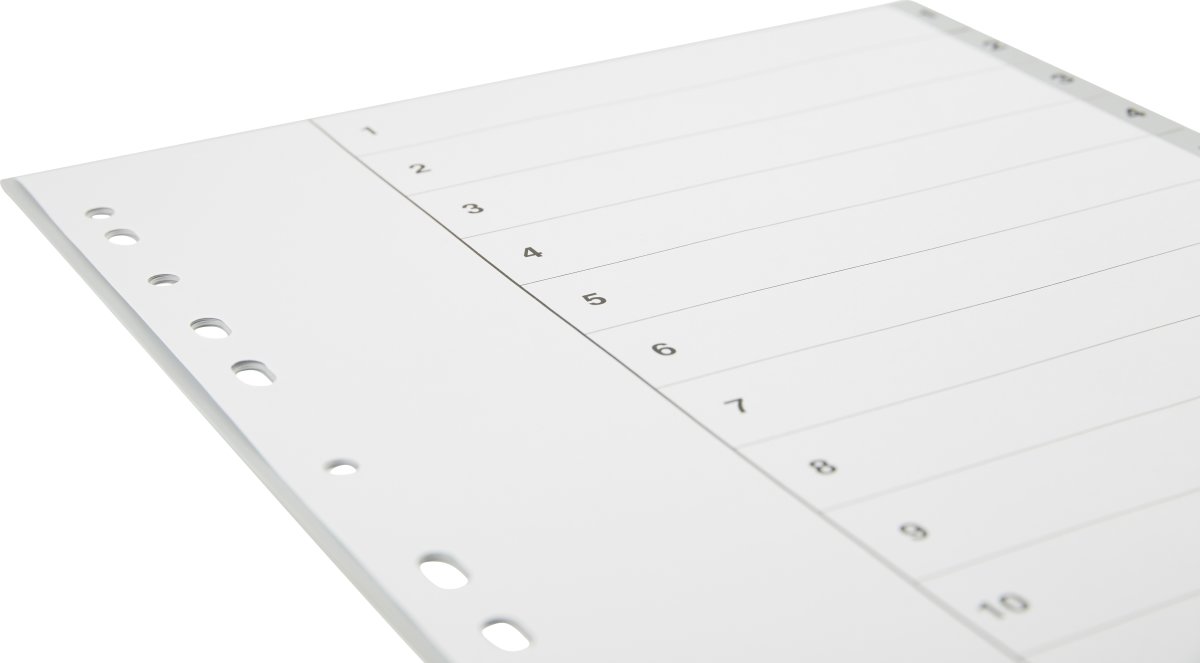 Register Budget A4 1-12 Plast