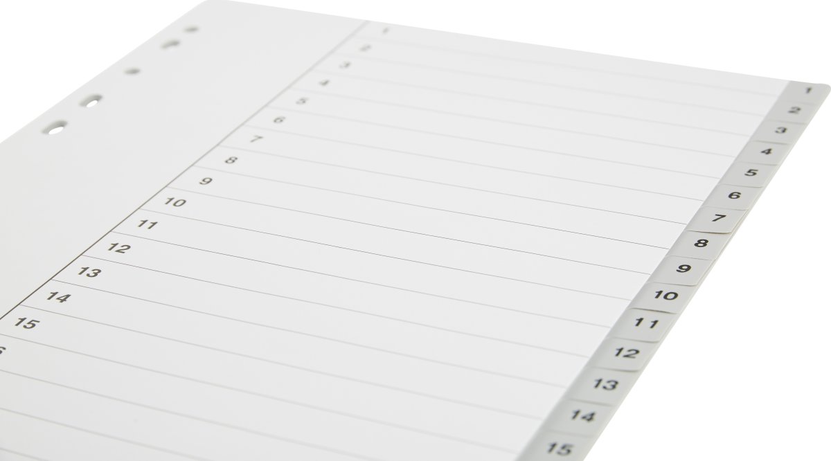 Register Budget A4 1-20 Plast