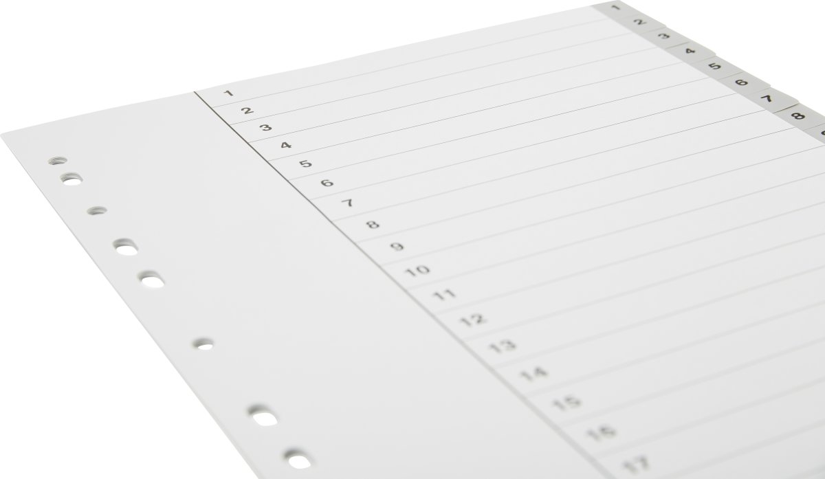 Register Budget A4 1-20 Plast