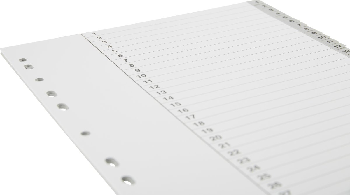 Register Budget A4 1-31 Plast