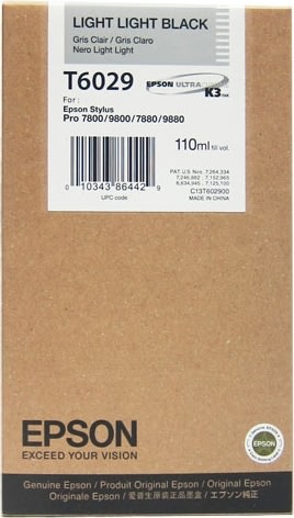 Bläckpatron Epson C13T602900 Mkt ljus svart 110 ml