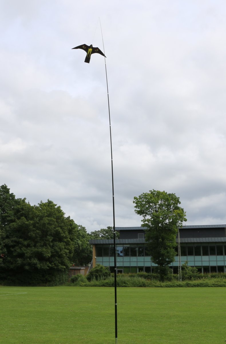 Fågelskrämma set - 10 m teleskopisk stolpe & fågel