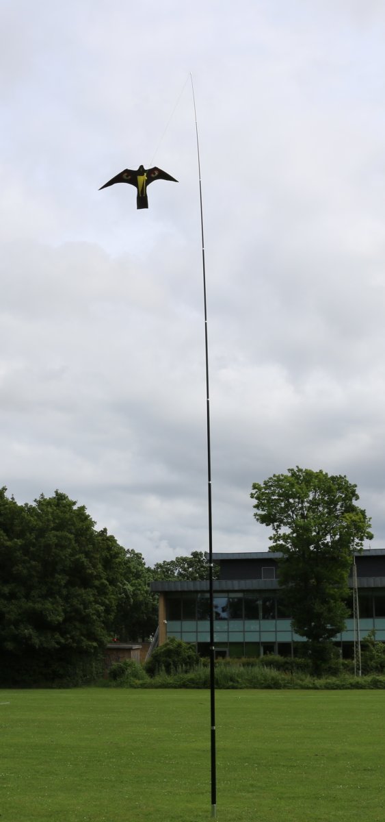 Fågelskrämma set - 10 m teleskopisk stolpe & fågel