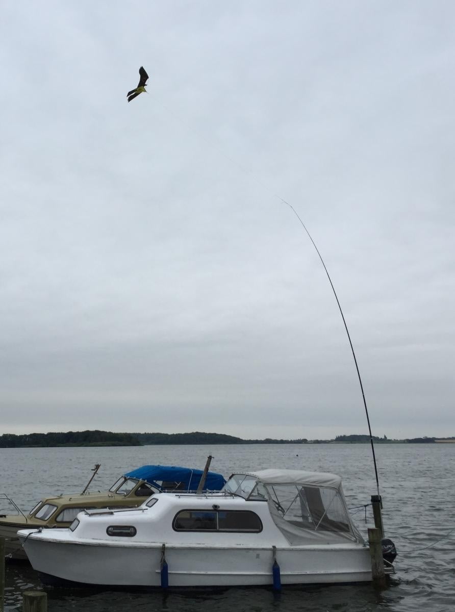 Fågelskrämma set - 10 m teleskopisk stolpe & fågel