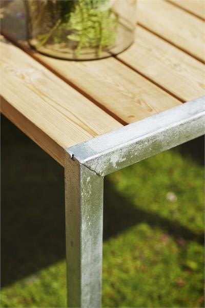 Plus plankset | Lärk