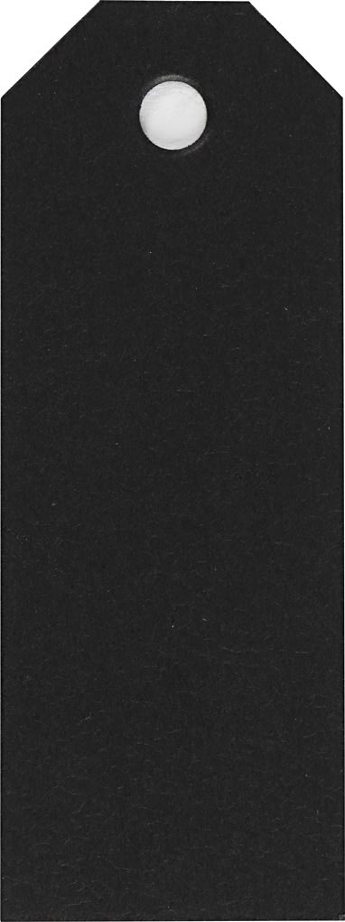Manillamärken Happy Moments 3x8 cm 20 st Svart