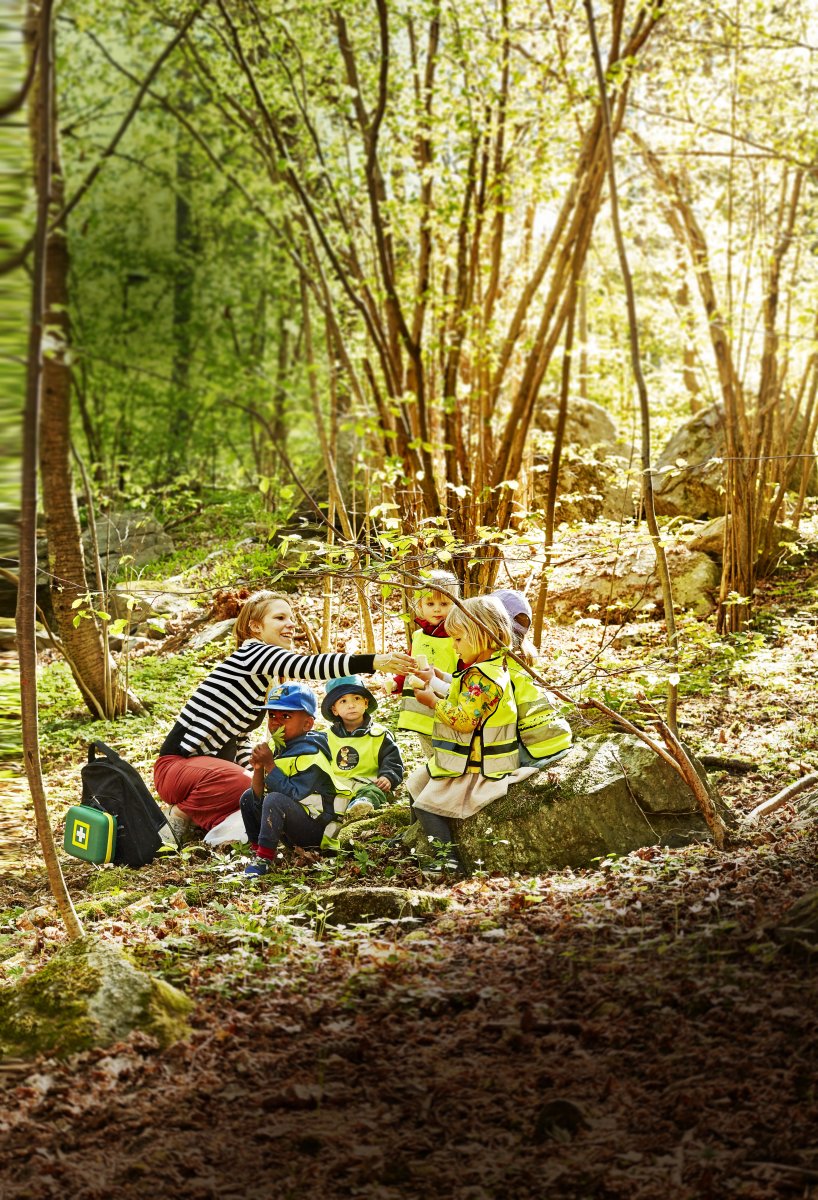 Första hjälpen-kit Cederroth Large