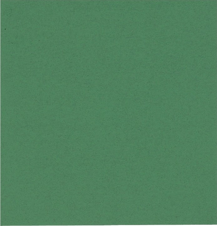 Pappersservett 2-lager 33x33 cm Grön 100 st