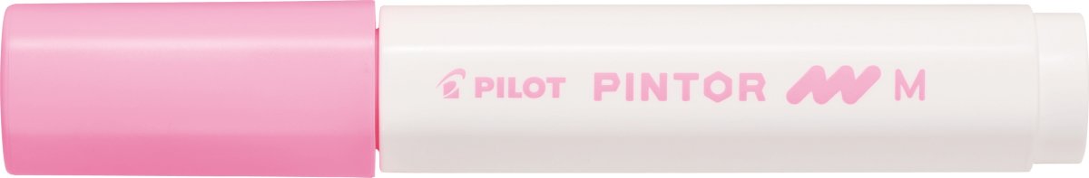 Pilot Pintor märkpenna | M | Rosa