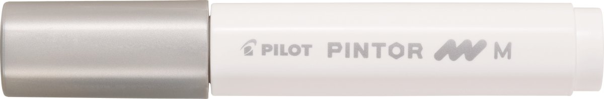 Pilot Pintor Märkpenna | M | 1,4 mm | Silver
