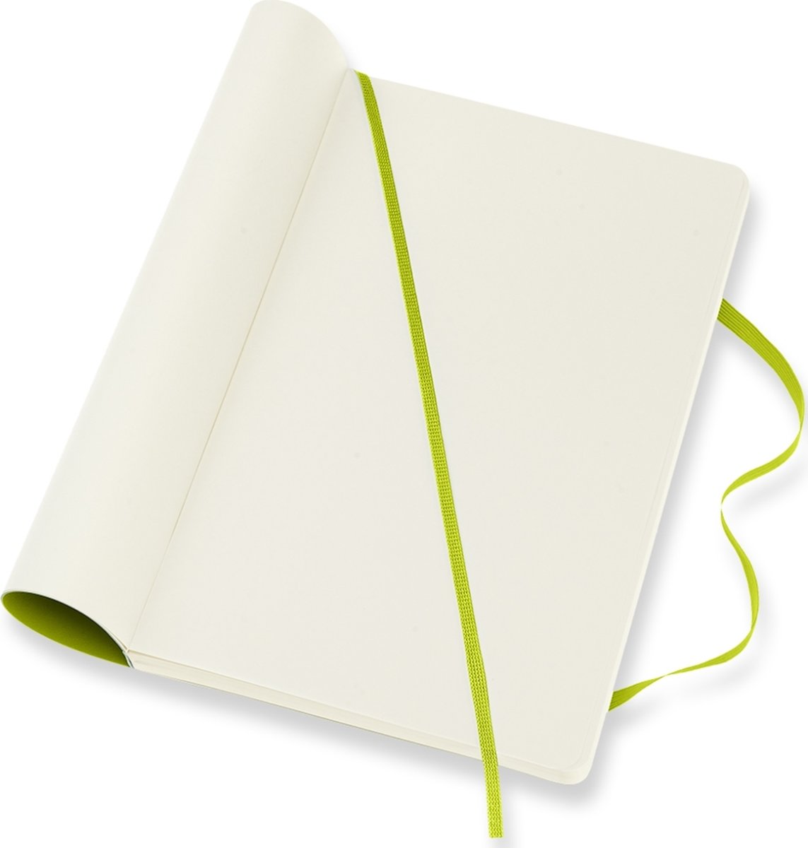 Notebook Moleskine Classic L Ljusgrön