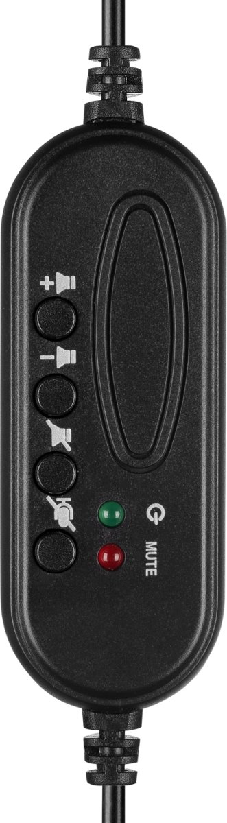 Headset Sandberg Saver USB Svart