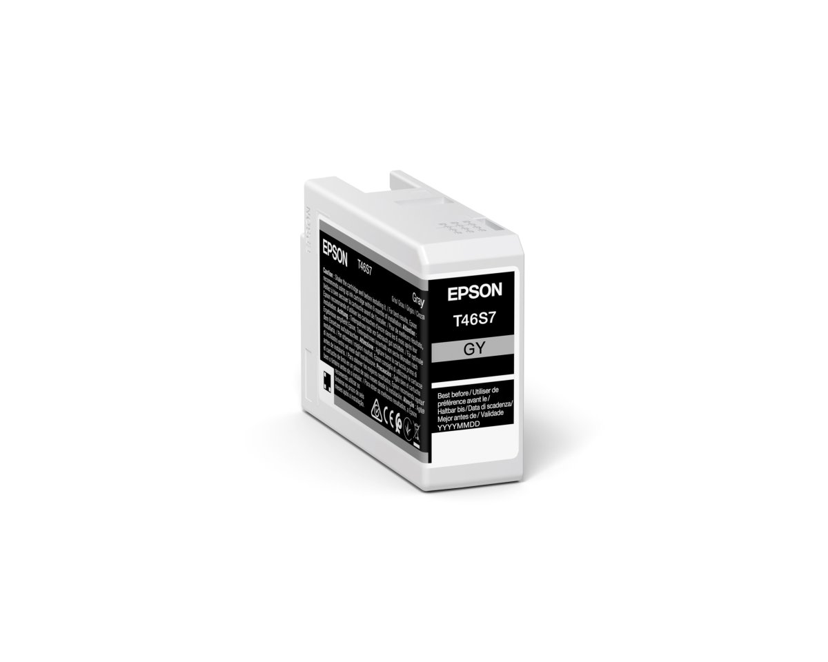 Epson C13T46S700 bläckpatron, grå