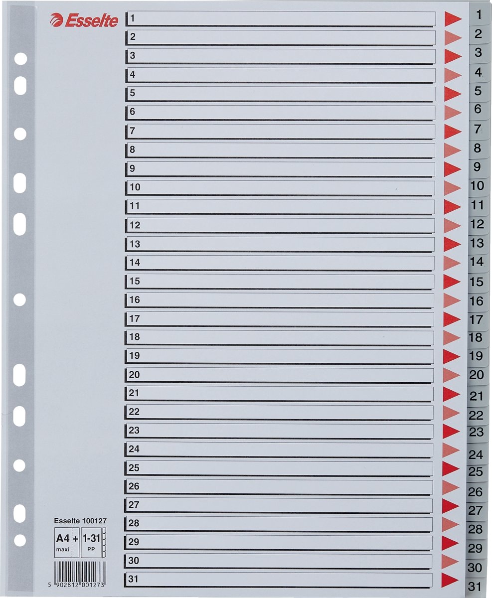 Esselte Maxi register A4, 1-31, plast, grå