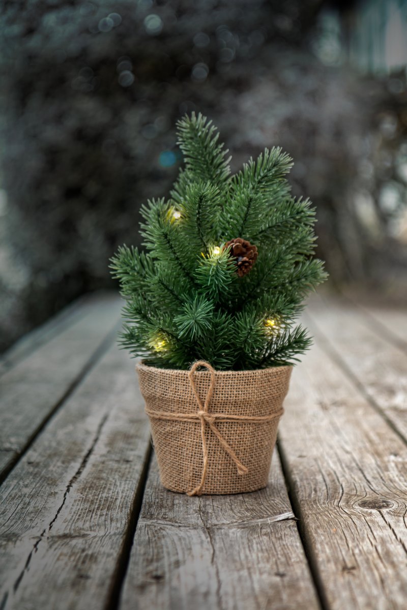 Julgran med Kruka, LED, H30 cm