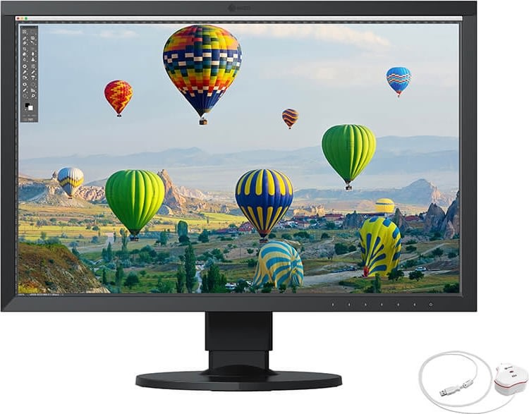 EIZO ColorEdge CS2410CAL 24" Monitor