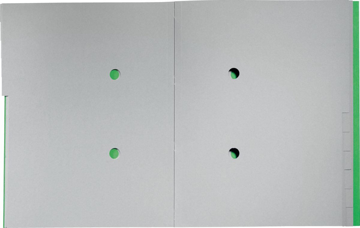 Leitz Recycle sorteringsmapp | 12 flikar | Grön