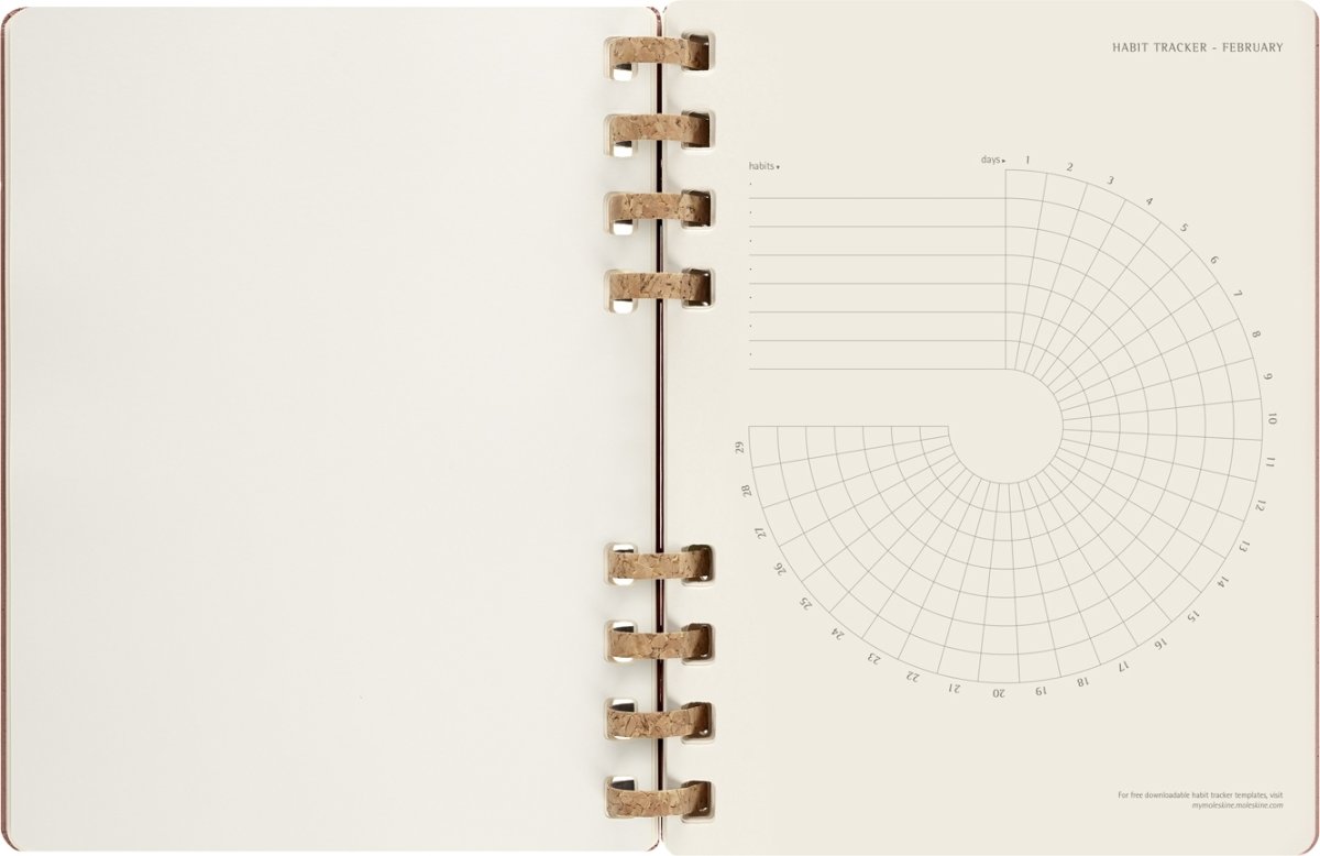 Moleskine 2024 spiralkalender | XL | Mandel