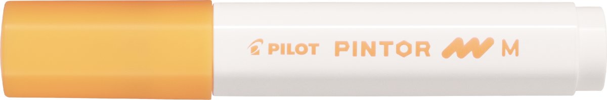 Pilot Pintor märkpenna | M | Neonaprikos