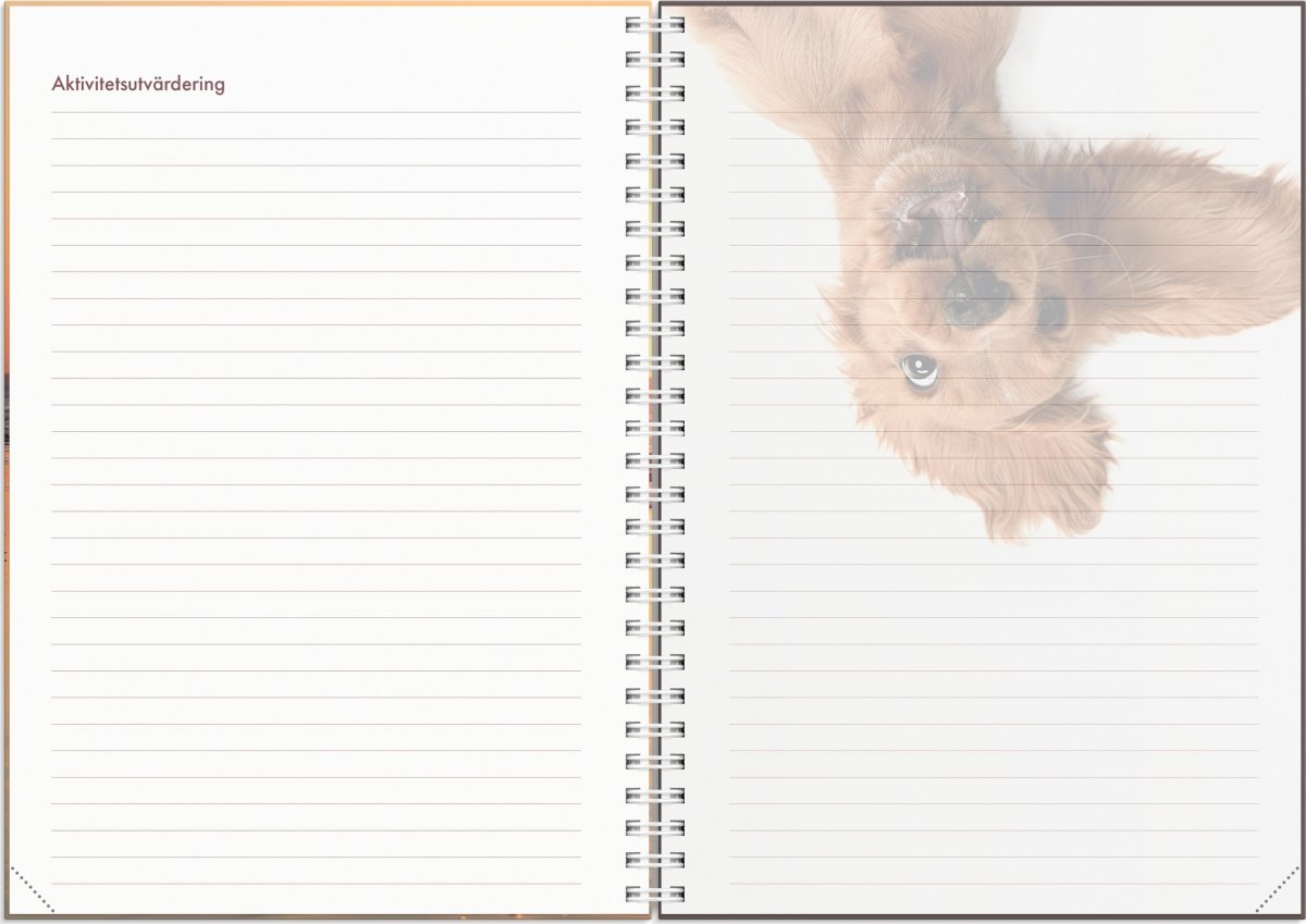 Burde 2024 Hundkalendern