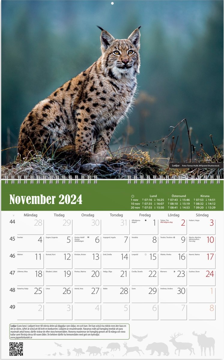 Burde 2024 Väggkalender, Jaktkalender