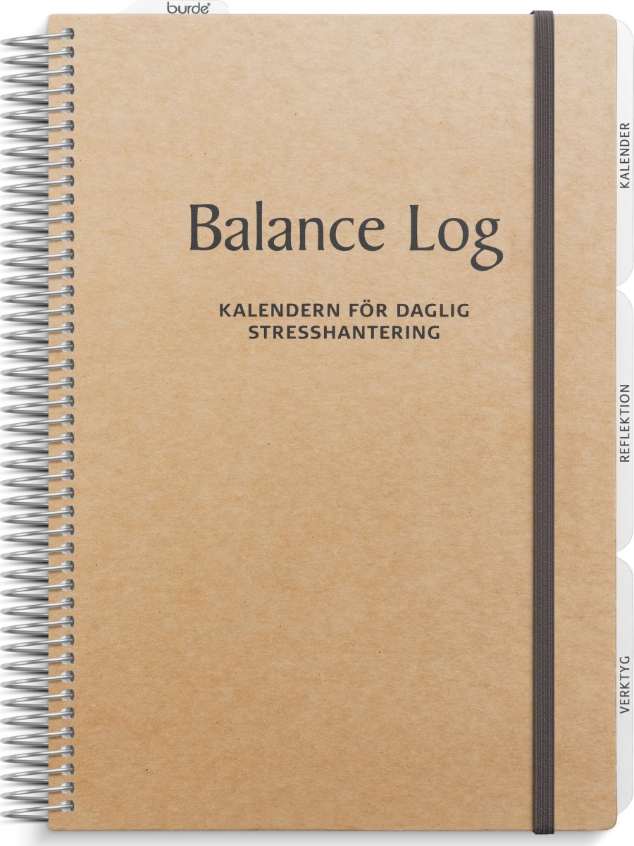 Balance Log