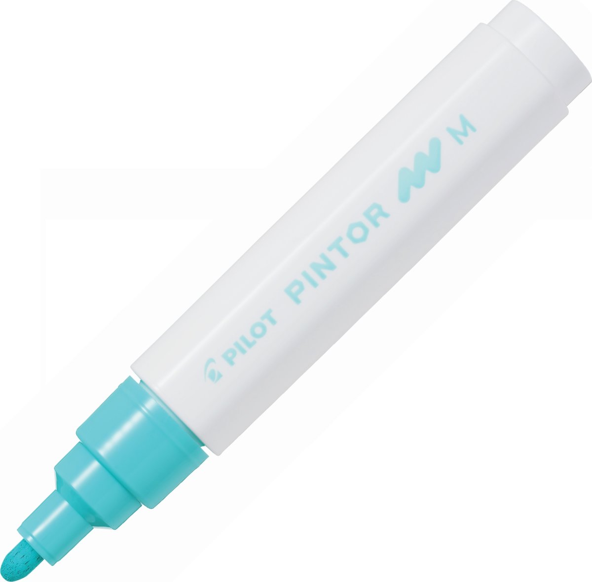 Pilot Pintor märkpenna | M | Pastellgrön