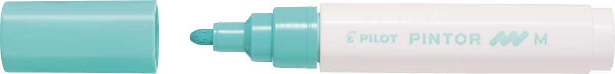 Pilot Pintor märkpenna | M | Pastellgrön