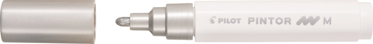 Pilot Pintor Märkpenna | M | 1,4 mm | Silver