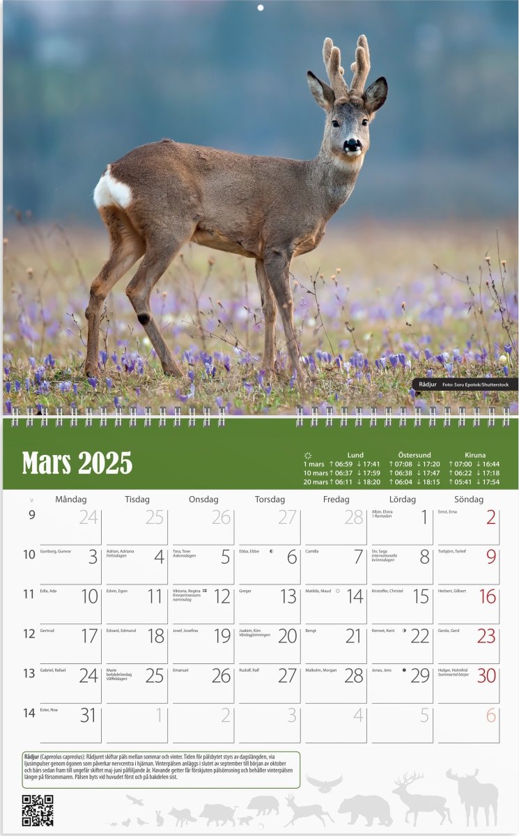 Burde 2025 Väggkalender, Jaktkalender