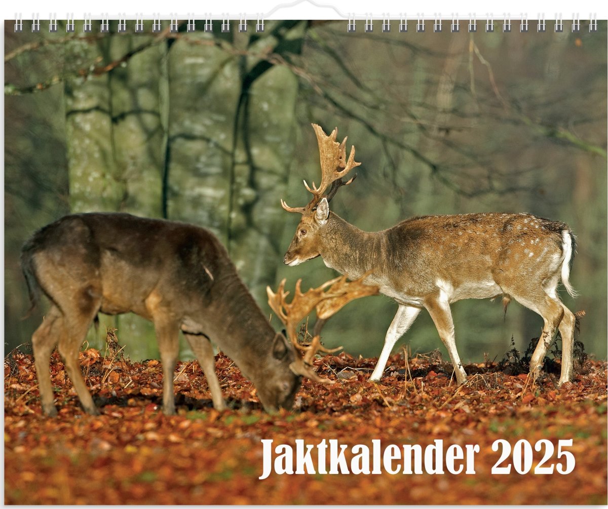 Burde 2025 Väggkalender, Jaktkalender