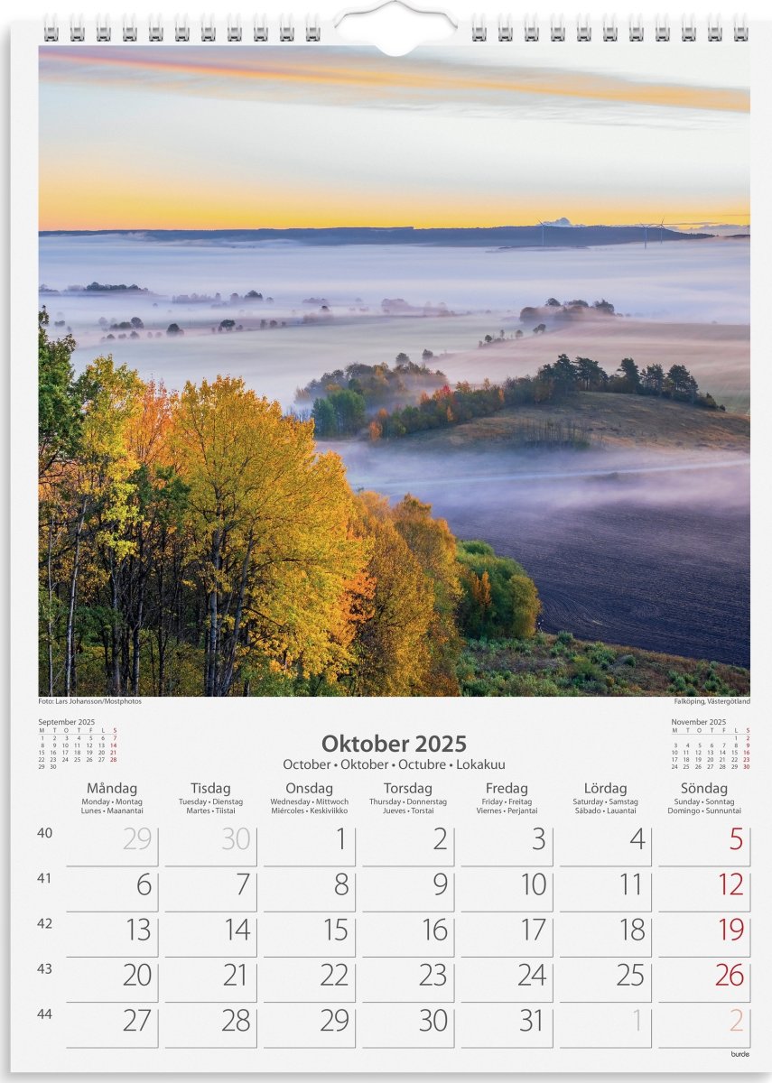 Burde 2025 Väggkalender, Beutiful Sweden