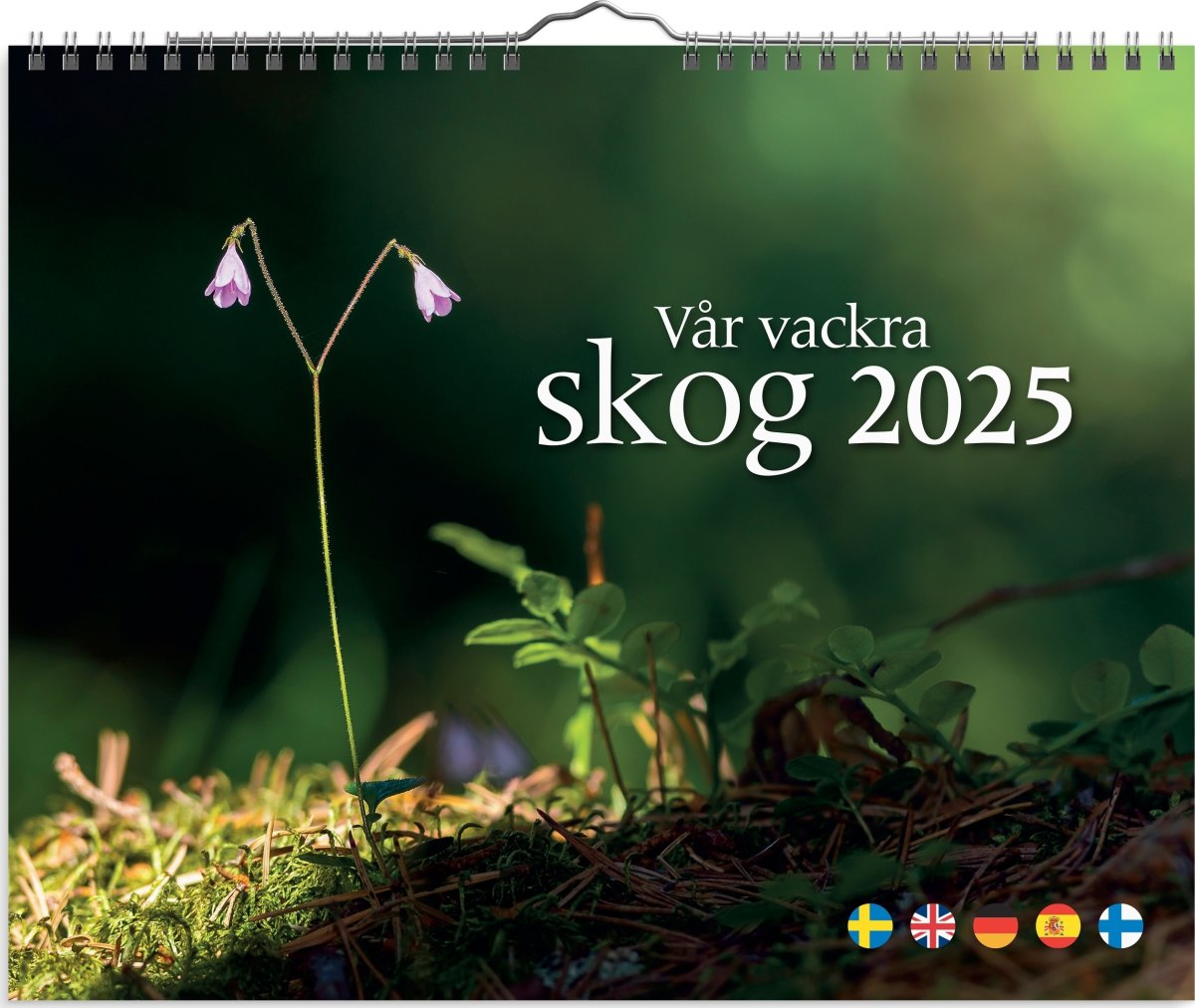 Burde 2025 Väggkalender, Vår vackra skog