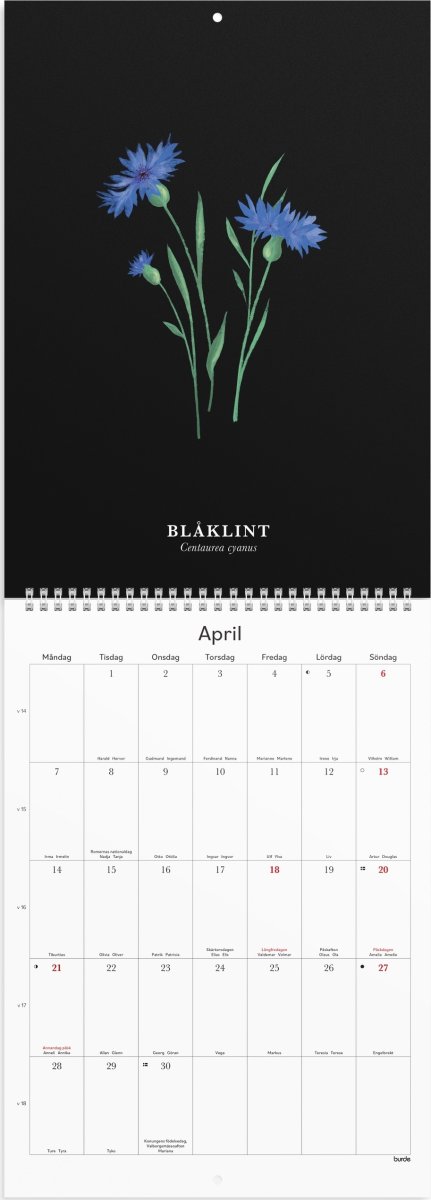 Burde 2025 Väggkalender, Illustrerad blomster