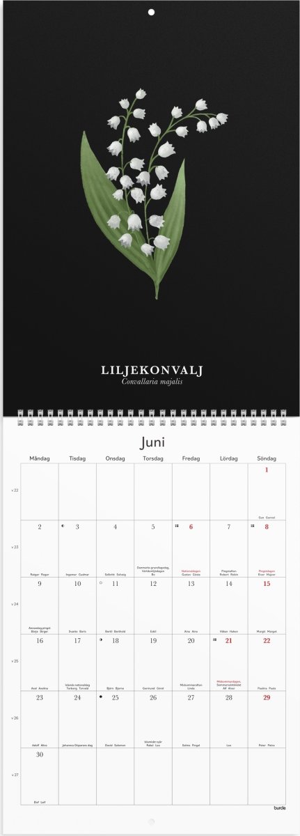 Burde 2025 Väggkalender, Illustrerad blomster