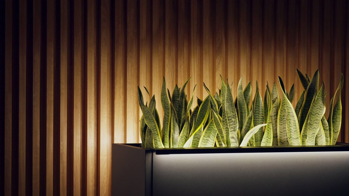 Herstera Blomlåda m/ljus, inne, svart, 100x40x80