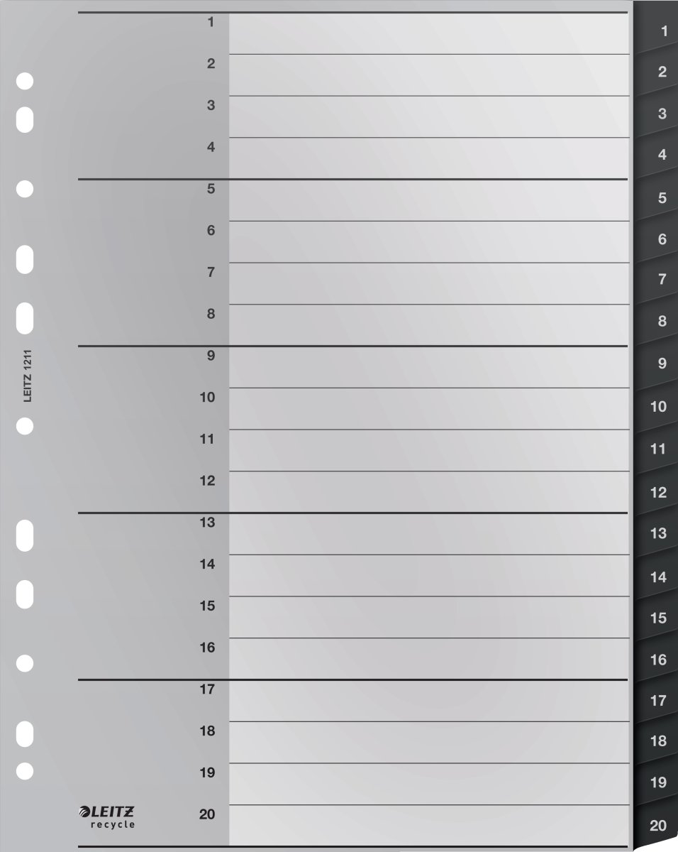 Leitz Återvinningsregister | A4 | PP | 1-20