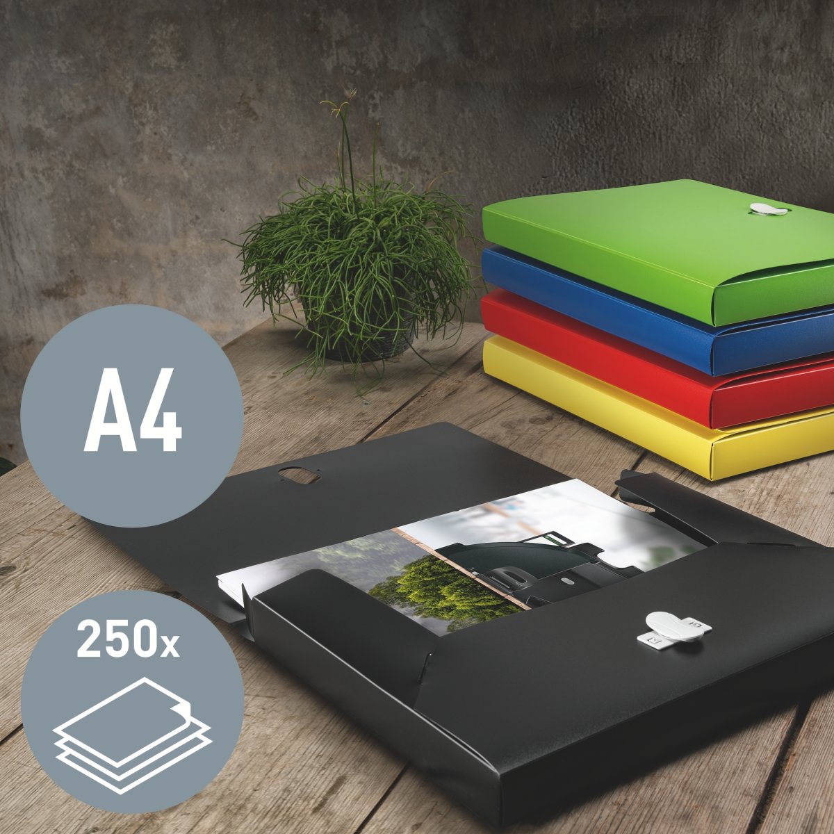 Leitz Recycle arkivbox | A4 | Grön