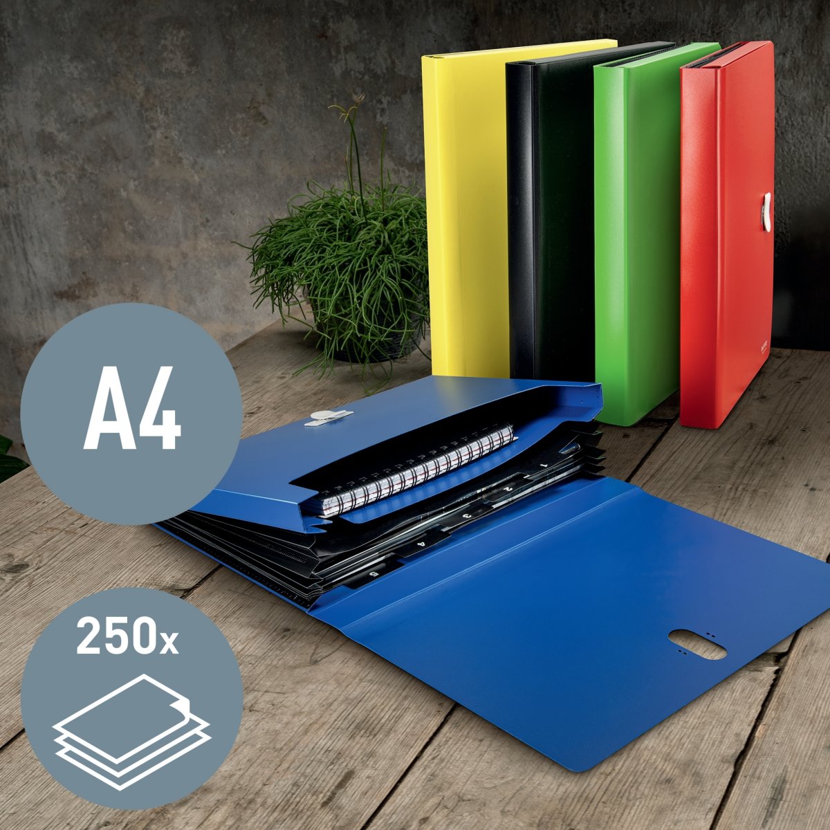 Leitz Recycle projektmapp | A4 | Grön