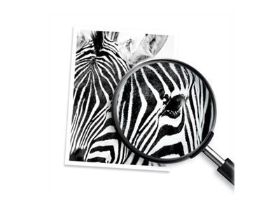 HP 924e EvoMore Original bläckpatron, Cyan