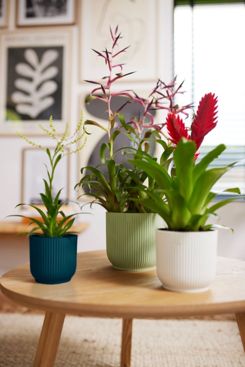 Elho Vibes blomkruka, 18 cm, Sorbert Green