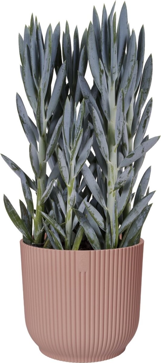 Elho Vibes blomkruka, 22 cm, Delicate Pink