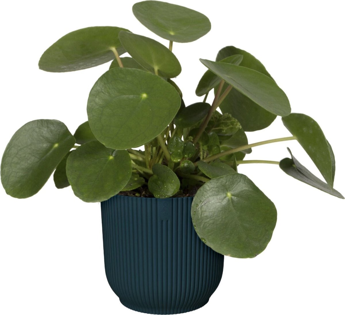 Elho Vibes blomkruka, 30 cm, Deep Blue